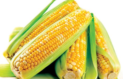 10 beneficios de comer maíz